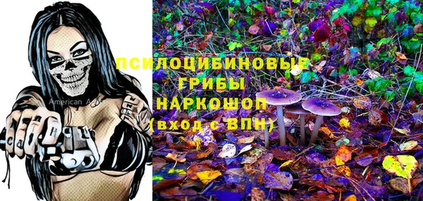 соль ск Верхний Тагил