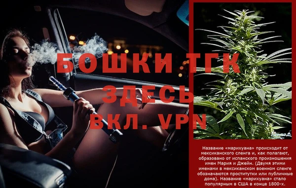 соль ск Верхний Тагил