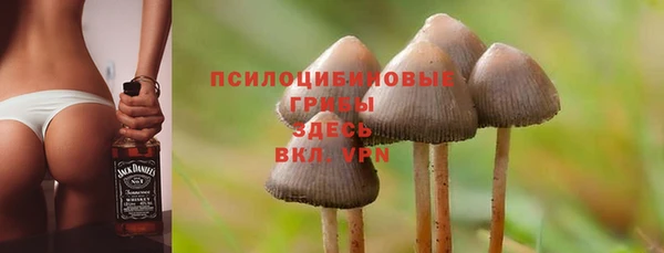 кристаллы Сосновый Бор
