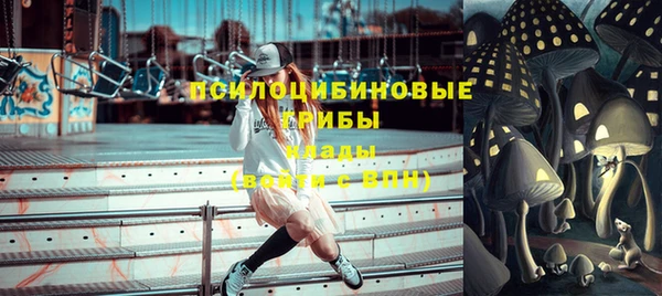 дурь Волоколамск