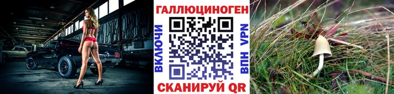 MEGA онион  Кандалакша  Галлюциногенные грибы Psilocybine cubensis 